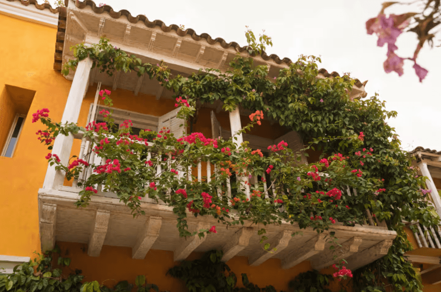Casa Lea image 10
