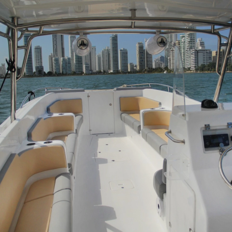 Vicky Private Speedboat Experience by Millan Experiences